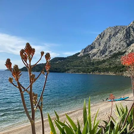 Apartamento 1 Drasnice