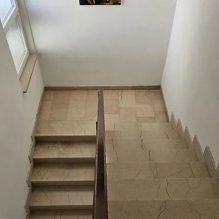 1 دراسنيتش